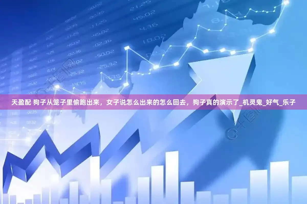 天盈配 狗子从笼子里偷跑出来，女子说怎么出来的怎么回去，狗子真的演示了_机灵鬼_好气_乐子