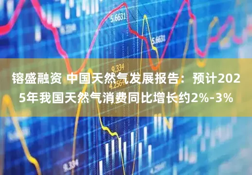 镕盛融资 中国天然气发展报告：预计2025年我国天然气消费同比增长约2%-3%
