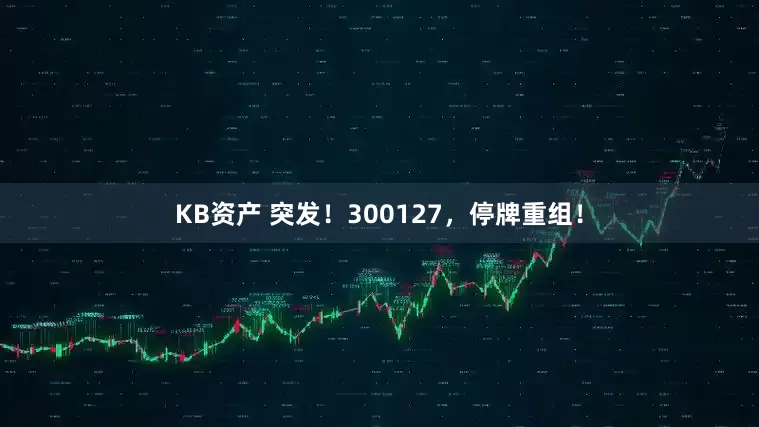 KB资产 突发！300127，停牌重组！